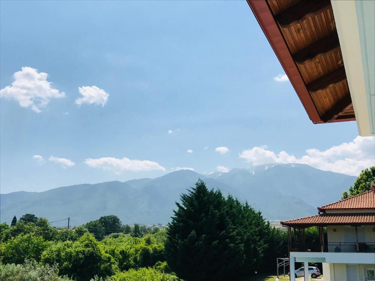 Villa Dimeli Litochoro Exterior foto